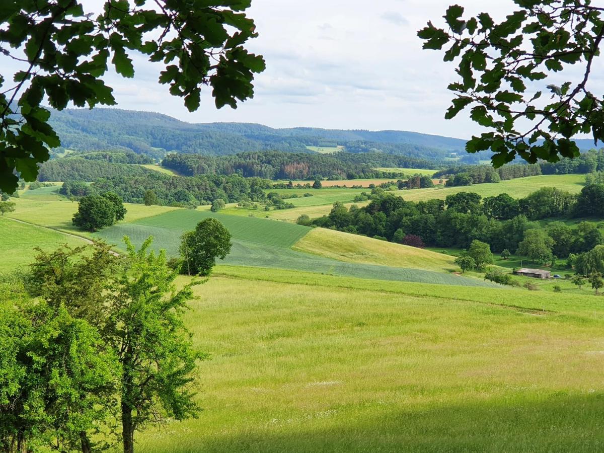 Odenwald-Lodge Mit Infrarotsauna Und E-Ladestation "Haus Purpur" Reichelsheim Exteriör bild
