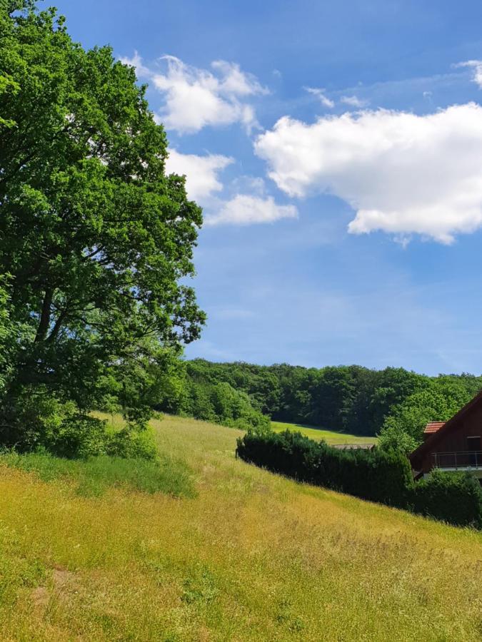 Odenwald-Lodge Mit Infrarotsauna Und E-Ladestation "Haus Purpur" Reichelsheim Exteriör bild
