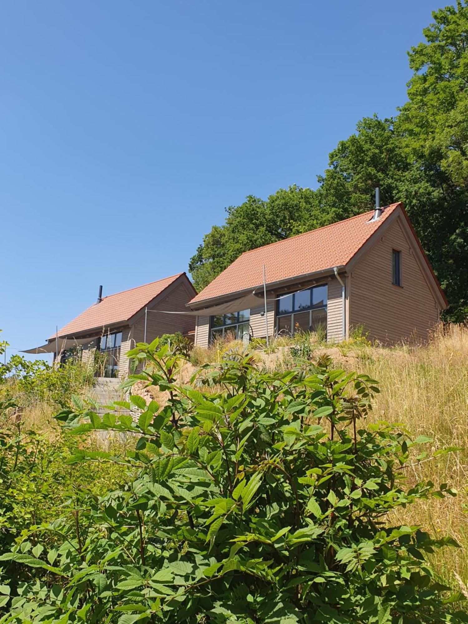 Odenwald-Lodge Mit Infrarotsauna Und E-Ladestation "Haus Purpur" Reichelsheim Exteriör bild